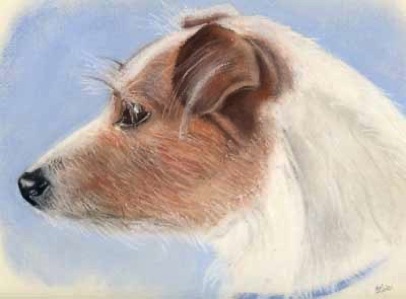 Oscar in pastels